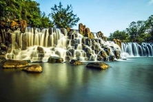 [PHƯỢT NINH THUẬN] Ngắm Nhìn Thảo Nguyên Trong Long Phố Biển Thozoo Safari [3N2D]