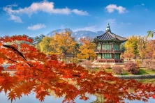 [MÙA THU KOREA 4N4Đ] Ngắm Lá Vàng Rực Rỡ tại Trường Đại Học Nữ sinh Ehwa - Chợ Đêm Hongdae - Trải Nghiệm Hái táo tại vườn