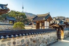 [MÙA ĐÔNG KOREA 5N4Đ] Khám Phá Rừng Bạch Dương Wondaeri - Thăm Trường Đài Học Yonsei - Checkin Cafe khu Ikseon - dong