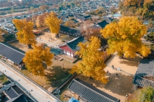 [MÙA THU BUSAN KOREA 6N5Đ]Làng Hanok Jeonju - Vườn Quốc Gia Naejangsan Sắc Màu Vàng - Trải Nghiệm Hái Táo Tại Vườn - Công Viên Bầu trời (Haneul)