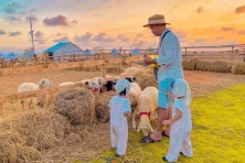 Du Xuân Mũi Né Làng  Mông Cổ MIANFAM - Chinh Phục Bàu Trắng Jeep Tour 3N2Đ