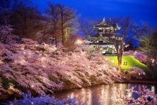 [MÙA XUÂN KOREA 5N4Đ] Chinh Phục Ngọn Núi Eungbongsan Bao Phủ Trong Sắc Vàng Rực Rỡ của Hoa Forsythia