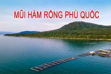 [CẦN THƠ 4N3Đ] Khám Phá Vườn Trái Cây Cần Thơ - Phiêu Lưu Bắc Đảo Mũi Hàm Rồng Xe Ghế Nằm Vip Cao Cấp 26 Ghế