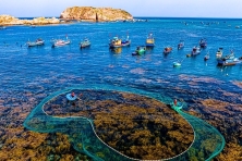 Bãi Biển Nhơn Hải - Hòn Ngang 3N3Đ