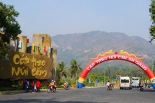[AN GIANG 2N2Đ] Rừng Tràm Trà Sư | Hồ Tà Pạ | Miếu Bà Chúa Xứ