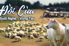 [CITY 01 NGÀY ] Khám Phá Khu Công Viên Giải Trí Lớn Hồ Tràm