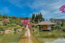 [Đà Lạt 4N3Đ] Hành Trình Vẻ Nên Ký Ức Mẹ & Con