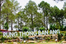[MAI CHÂU 4N3Đ ]Ngắm Nhìn Cao Nguyên Mộc Châu Mùa Hồng Chín Đỏ  Mùa Hoa Cải Trắng  Đèo Thung Khe Mai Châu Máy Bay