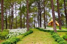 [MỘC CHÂU 3N2Đ] Mùa Hoa Ban Vùng Tây Bắc | Khu Du Lịch Happy Land | Đồi Chè Tình Yêu