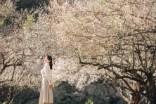 [MỘC CHÂU 3N2Đ] Mùa Hoa Ban Vùng Tây Bắc | Khu Du Lịch Happy Land | Đồi Chè Tình Yêu