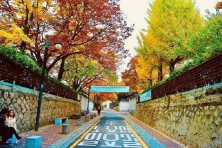 [MÙA THU KOREA ] Cảm Nhận Công Viên Nỗi Seoullo 7017 Cầu Vượt Trên Cao