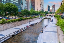 [MÙA XUÂN KOREA 5N4Đ] Chinh Phục Ngọn Núi Eungbongsan Bao Phủ Trong Sắc Vàng Rực Rỡ của Hoa Forsythia