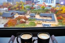 [MÙA THU KOREA ] Cảm Nhận Công Viên Nỗi Seoullo 7017 Cầu Vượt Trên Cao