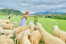 [PHƯỢT NINH THUẬN 3N2Đ] Sống Ảo Bãi Rêu Thôn Từ Thiện