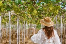 [2 ĐẢO 3N3Đ] Phan Rang | Đảo Bình Hưng | Đảo Bình Ba