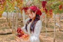 [PHÚ YÊN 3N3Đ] Bãi Xép | Tháp Nhạn | Biển Tuy Hòa | Núi Chóp Chài | Biển Phú Thường