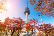 [MÙA THU KOREA 5N4Đ]Ngắm Lá Vàng Công Viên Yeouido