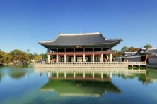 [MÙA XUÂN KOREA 5N4Đ] Ngắm Hoa Đào ở Công Viên Yeontral ở Yeonnam Dong - Ngắm Đài Quan Sát Jeongdong - Làng Bảo Tàng Donuimun