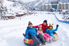 MÙA ĐÔNG HÀN QUỐC SEOUL - LOTTE WORLD - TRƯỢT TUYẾT - HÁI DÂU TẠI VƯỜN