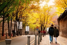 [MÙA THU KOREA 4N4Đ] Ngắm Lá Vàng Rực Rỡ tại Trường Đại Học Nữ sinh Ehwa - Chợ Đêm Hongdae - Trải Nghiệm Hái táo tại vườn