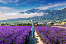 DU LỊCH NHẬT BẢN MÙA HÈ TOKYO–FUJI–KYOTO-OSAKA