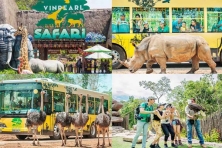 [VOUCHER 3N2Đ] Phiêu Lưu Nam Đảo Hòn Móng Tay/ Hòn Mây Rút/ Hòn Dăm Ngang/ Địa Trung Hải