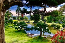ĐÀ LẠT - HAPPY HILL SĂN MÂY CẦU ĐẤT KHÁM PHÁ VƯỜN ĐỊA ĐÀNG