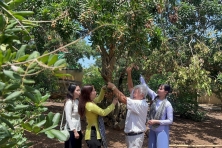 [BẠC LIÊU 1N1Đ] Cảm Nhận Cánh Đồng Quạt Gió Bạc Liêu | Tượng Quan Âm Đông Hải