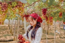 [CAM RANH 3N3Đ] Suối Ba Hồ | Đảo Robinson | Làng chài Bích Đầm | Bình Ba