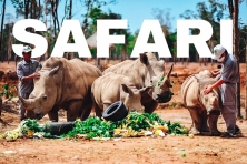 FLC SAFARI 1N ] Tham Quan Khu Vui Chơi Quy Nhơn