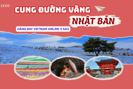MÙA ĐÔNG NHẬT BẢN  CUNG ĐƯỜNG VÀNG TOKYO - OSAKA 
