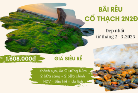 Bãi Rêu Cổ Thạch Tuyệt Tác Thiên Nhiên Xanh Mướt 2N2Đ