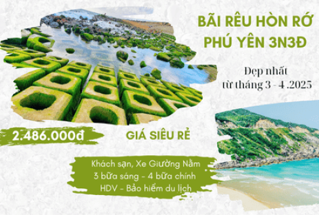 Bãi Rêu Hòn Rớ Tuyệt Tác Thiên Nhiên Mùa Rêu Xanh 3N3Đ