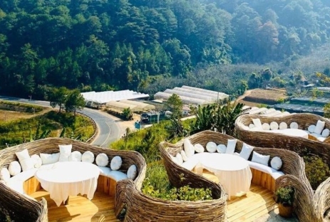[ĐÀ LẠT 1 NGÀY] Chinh Phục Cung Đường Mimosa