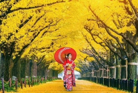 DU LỊCH NHẬT BẢN MÙA THU TOKYO–FUJI–KYOTO-OSAKA