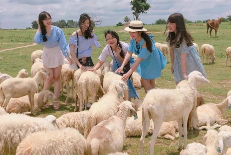 [PHƯỢT NINH THUẬN 3N2Đ] Checkin Đồng Cừu An Hòa Ninh Thuận