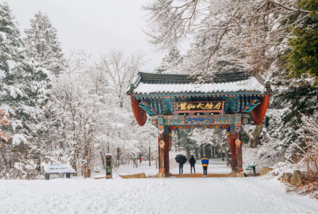 MÙA ĐÔNG HÀN QUỐC SEOUL - LOTTE WORLD - TRƯỢT TUYẾT - HÁI DÂU TẠI VƯỜN