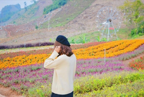 [MỘC CHÂU 3N2Đ] Mùa Hoa Ban Vùng Tây Bắc | Khu Du Lịch Happy Land | Đồi Chè Tình Yêu