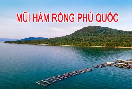 [CẦN THƠ 4N3Đ] Khám Phá Vườn Trái Cây Cần Thơ - Phiêu Lưu Bắc Đảo Mũi Hàm Rồng Xe Ghế Nằm Vip Cao Cấp 26 Ghế