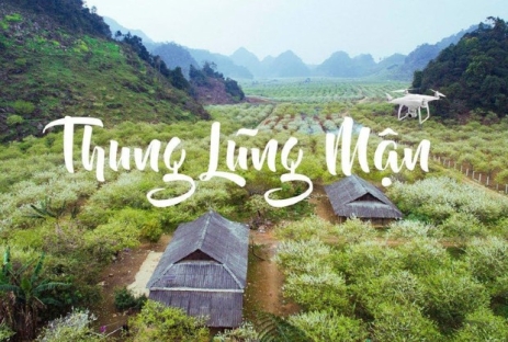[MỘC CHÂU 3N2Đ] Mùa Hoa Mận Chín Thắm Cả Vùng Núi Tây Bắc | Cầu Kính Bạch Long