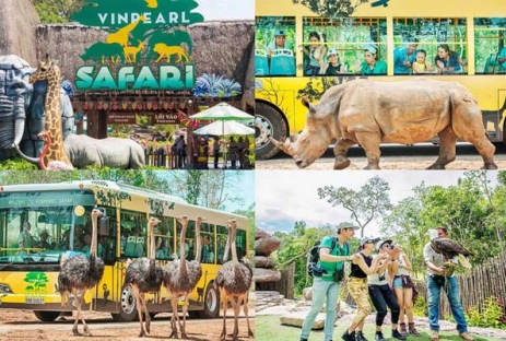 [VOUCHER 3N2Đ] Hà Nội - Phiêu Lưu Bắc Đảo Mũi Hàm Rồng - Rừng Ngập Mặn Sông Rạch Tràm - Nướng Bbq Biển Rạch Vẹm Bay Vietjest Air Khứ Hồi